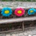 Bucuria s-a născut la greci