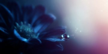 Realitate și realități. Perspective incomode.