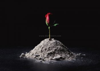 Despre asumare. Și greșeală.