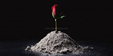 Despre asumare. Și greșeală.