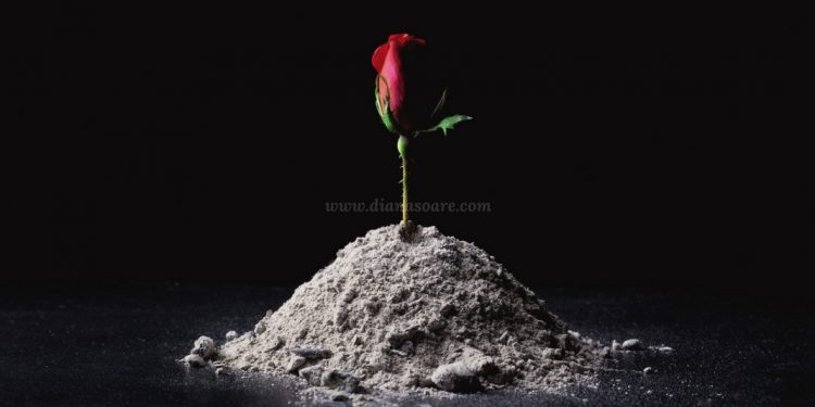 Despre asumare. Și greșeală.