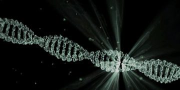 Evoluția umană. Gânduri, credințe, influențe.