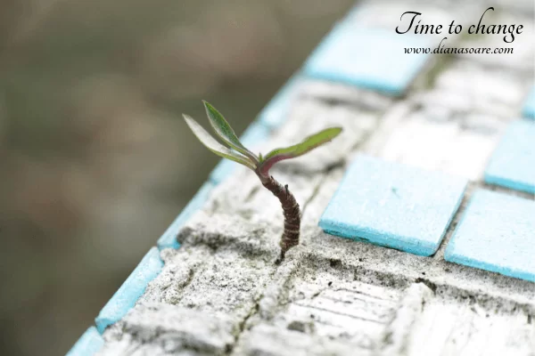 Absolut toate situațiile din viața ta sunt acolo pentru ca tu să evoluezi. Dar evoluția nu se produce niciodată în zona de cunoscut, ci în zona de necunoscut. Luând decizii, acționând, schimbând. Orice decizie, oricât de proastă ar fi, îți va aduce un beneficiu. Tot ceea ce ești azi este rezultatul deciziilor pe care le-ai luat. Dacă iei o decizie proastă, vei ști că a fost proastă. Dar dacă stai 5 ani în dubii și nu decizi nimic, nu vei ști nici după 5 ani și nici altă dată care e decizia corectă.