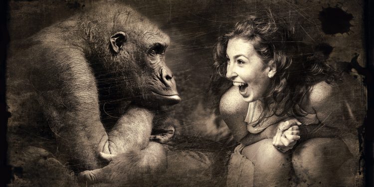 Abecedarul schimbării